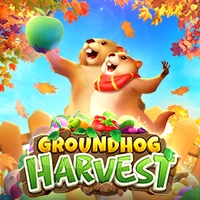 GROUNDHOG HARVEST